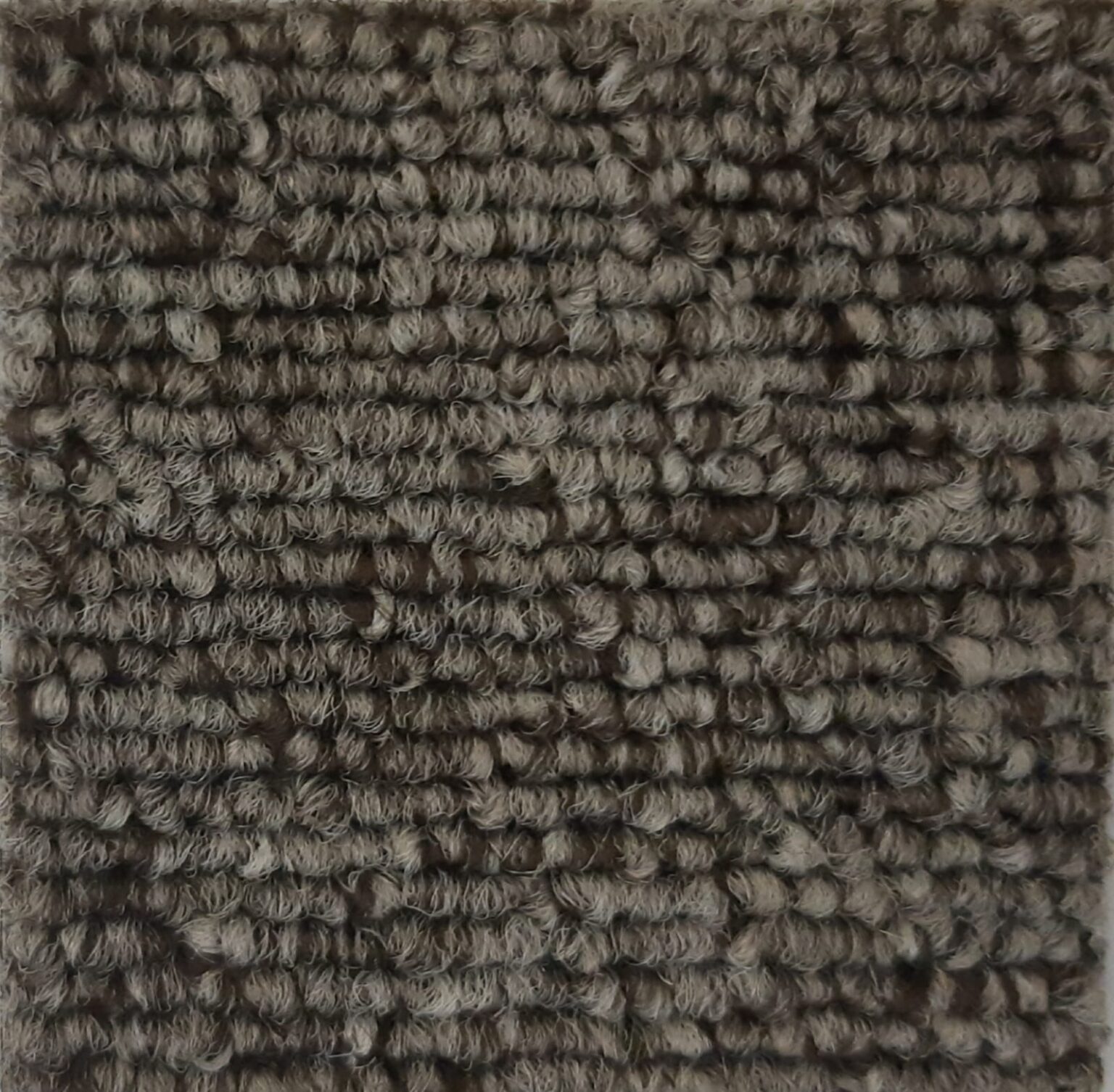 Moquette Fox 879