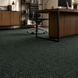 moquette 